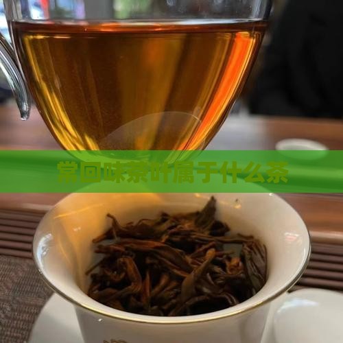 常回味茶叶属于什么茶