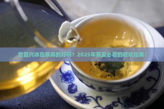 世昌兴冰岛茶怎么样