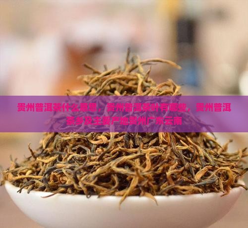 贵州普洱茶什么意思