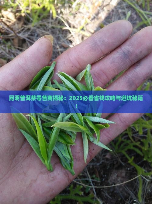 昆明普洱茶零售商
