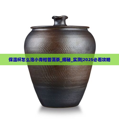 保温杯怎么泡小青柑普洱茶