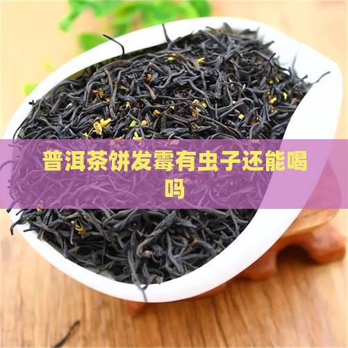 普洱茶饼发霉有虫子吗