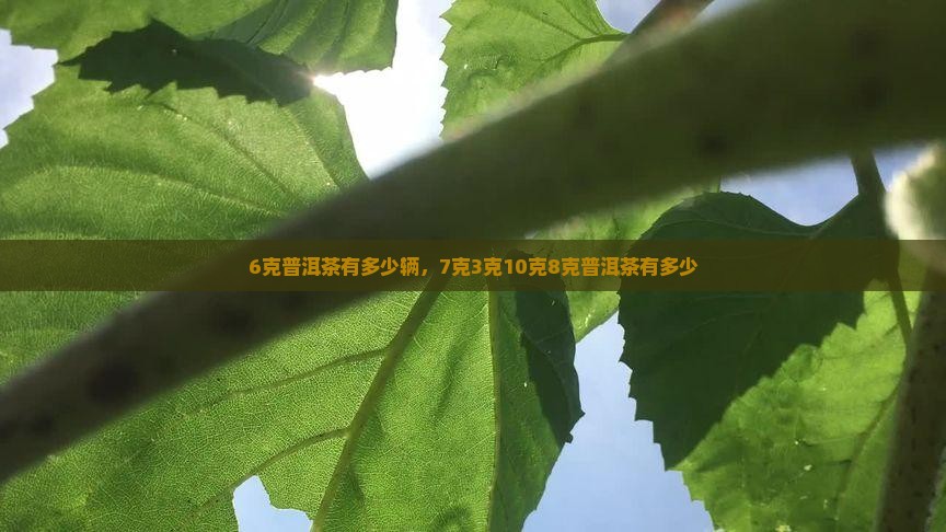 6克普洱茶有多少辆