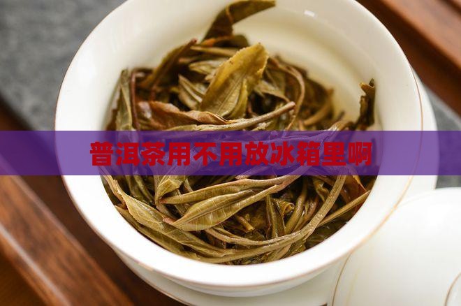 普洱茶用不用放冰箱里啊