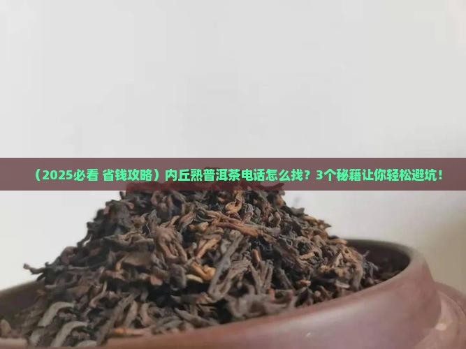 内丘熟普洱茶电话