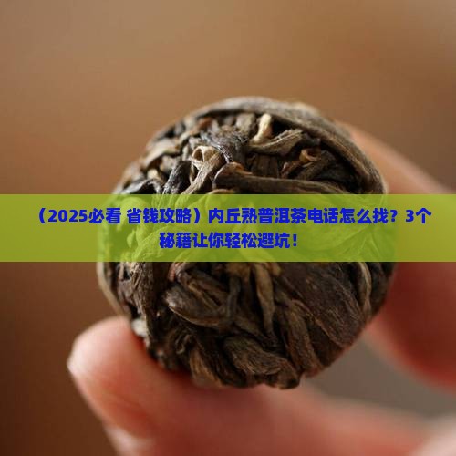 内丘熟普洱茶电话