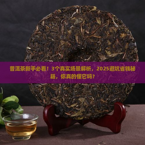 普洱茶工作怎么样