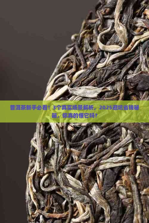 普洱茶工作怎么样