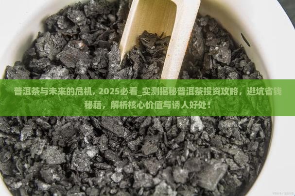 普洱茶与未来的危机