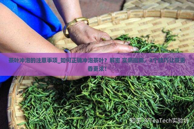 茶叶冲泡的注意事项