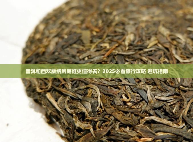 普洱和西双版纳对比