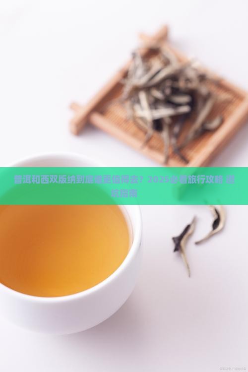 普洱和西双版纳对比