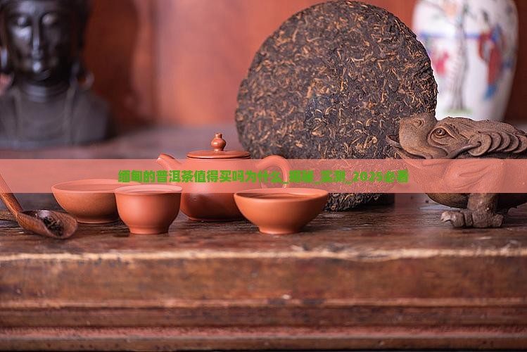 缅甸的普洱茶值得买吗为什么