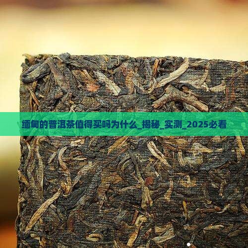 缅甸的普洱茶值得买吗为什么