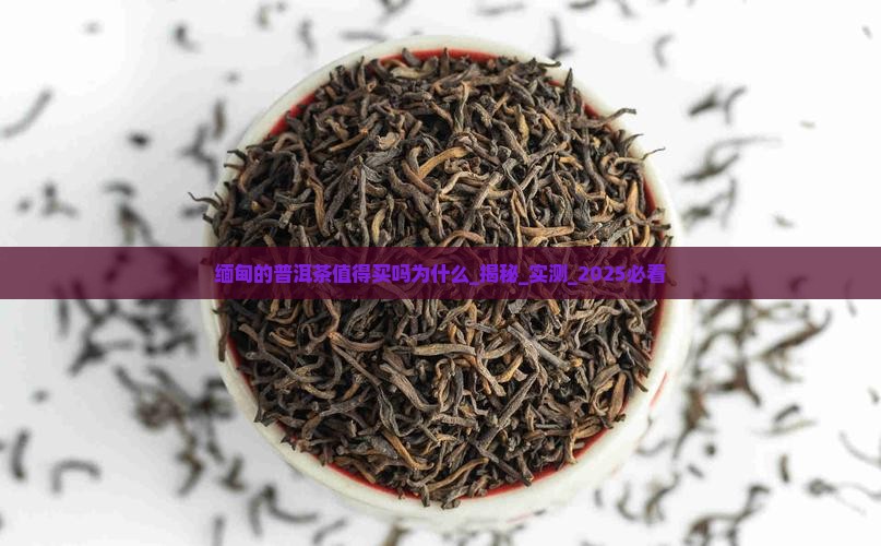 缅甸的普洱茶值得买吗为什么