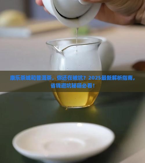 康乐茶城和普洱茶