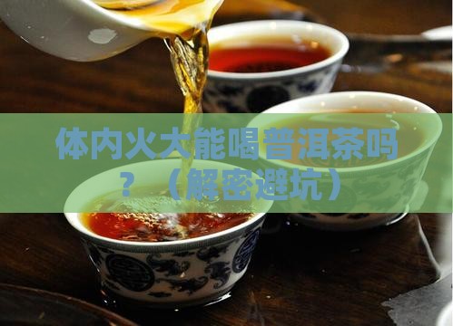 体内火大能喝普洱茶吗