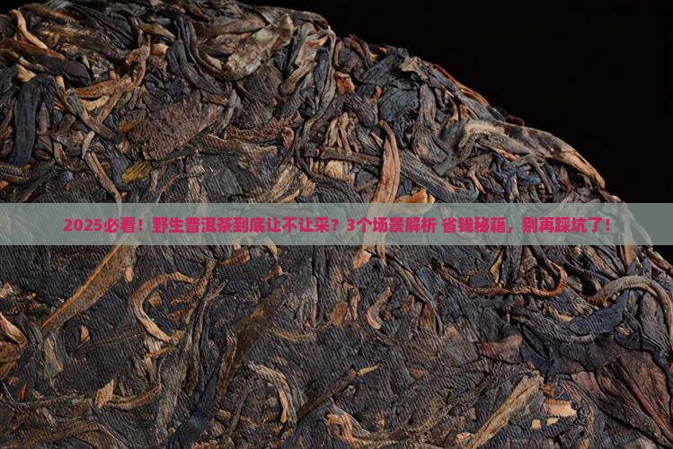 普洱茶野生茶让采么