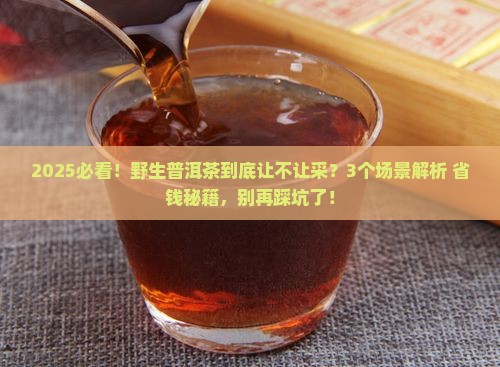 普洱茶野生茶让采么