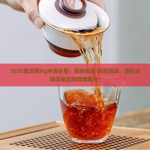 普洱茶8g冲泡