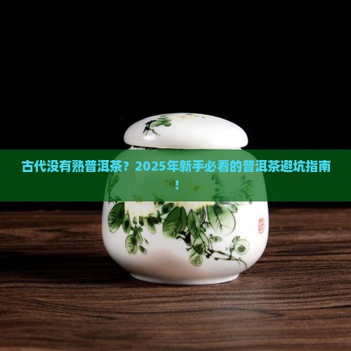 古代没有熟普洱茶