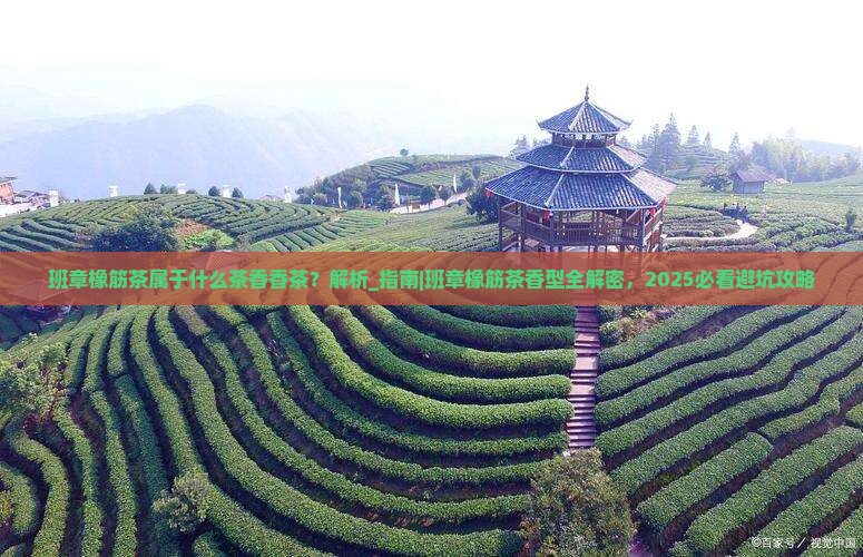 班章橡筋茶属于什么茶香香茶