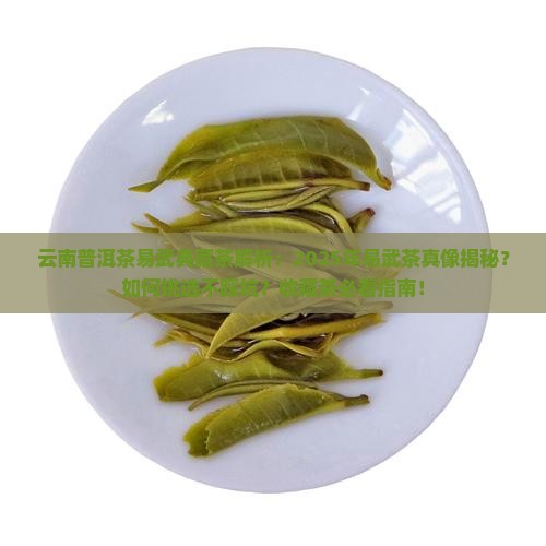 云南普洱茶易武典藏茶