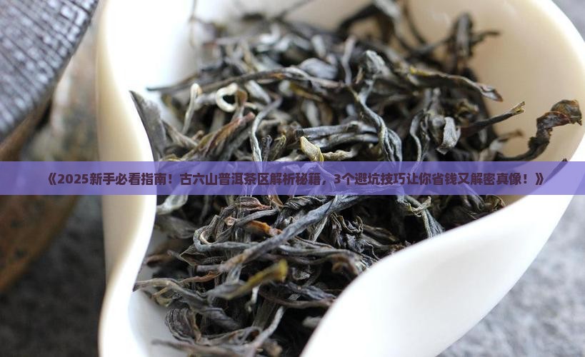 古六山普洱茶区