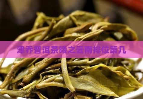 津乔普洱茶曦之