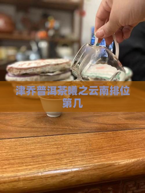 津乔普洱茶曦之