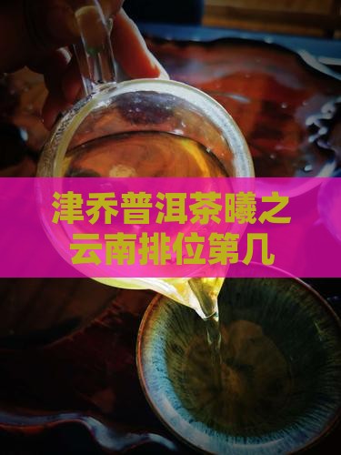 津乔普洱茶曦之
