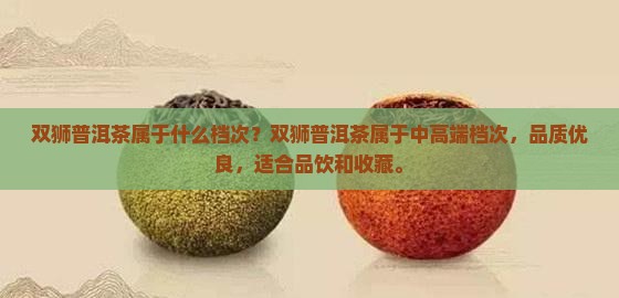 双狮普洱茶属于什么档次