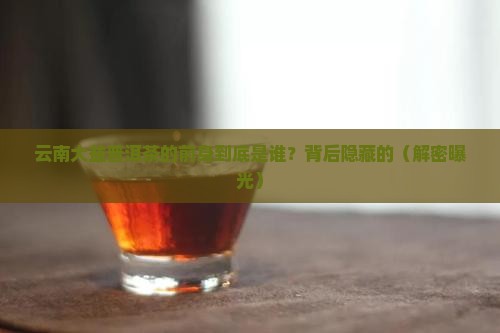 云南大益普洱茶前身