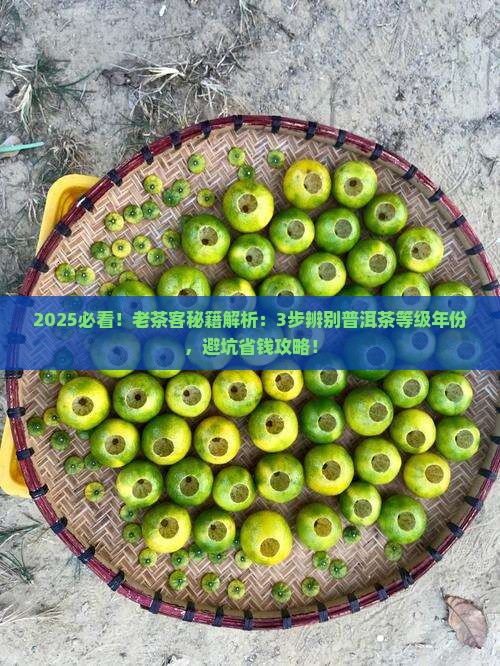 怎么辨别普洱茶的等级年份