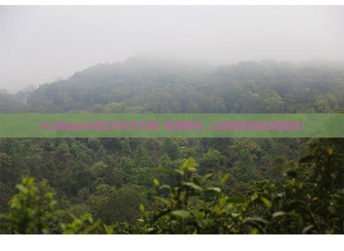 什么茶去火消炎还可以天天喝 什么茶去火消炎还可以天天喝