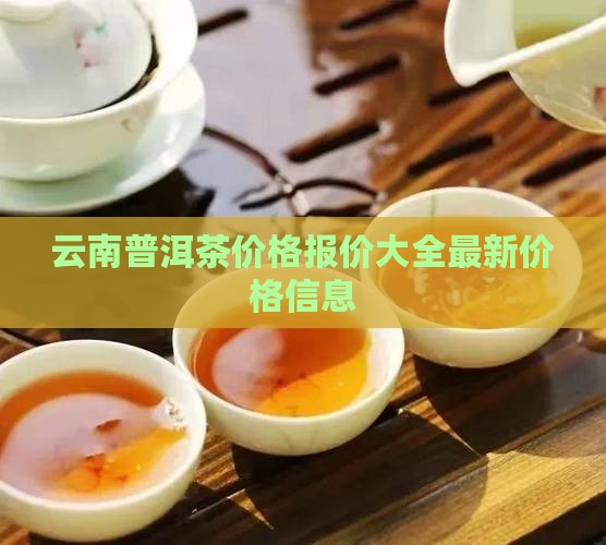 云南普洱茶价格报价大全