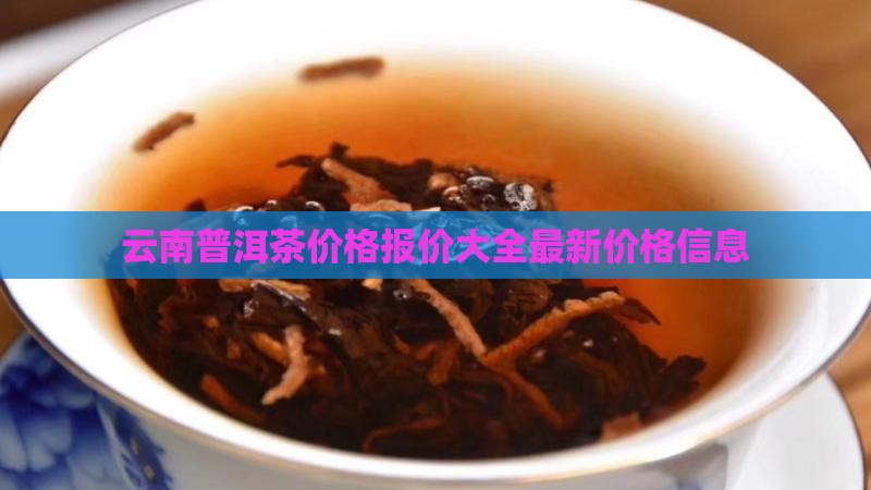 云南普洱茶价格报价大全