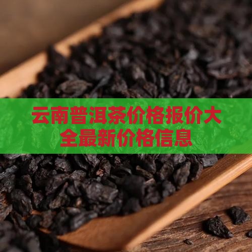云南普洱茶价格报价大全