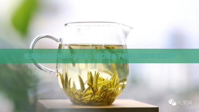 普洱茶冰岛古树2020
