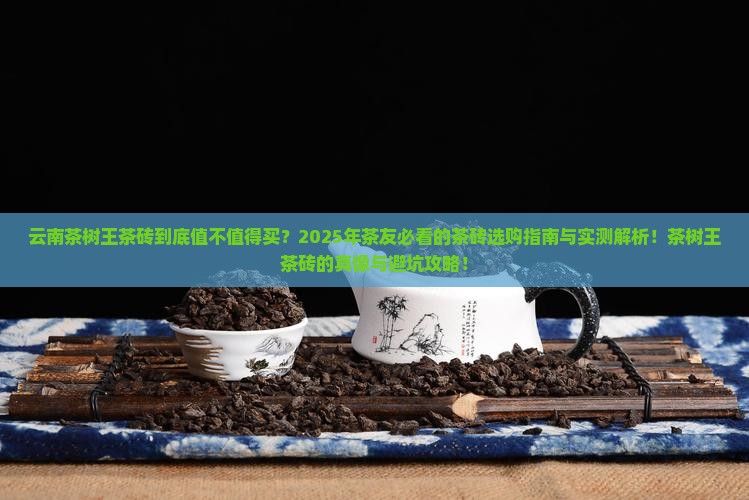 云南茶树王茶砖