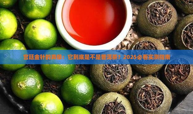宫廷金针是普洱茶吗