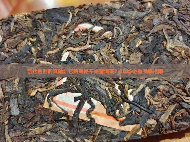 宫廷金针是普洱茶吗