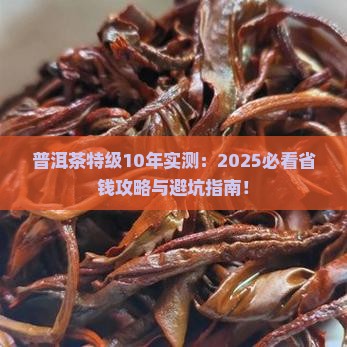 普洱茶特级10年