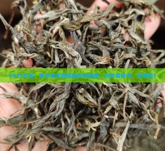 陈年普洱茶功效型眼霜测评
