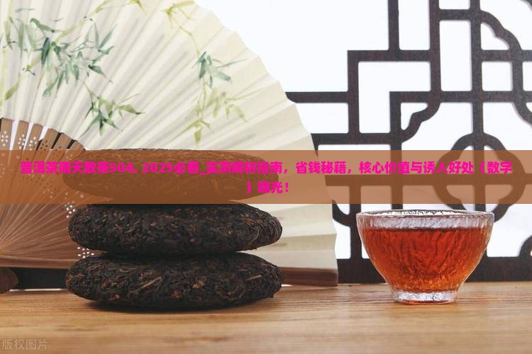 普洱茶南天散茶504