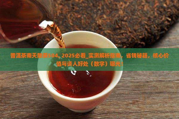 普洱茶南天散茶504