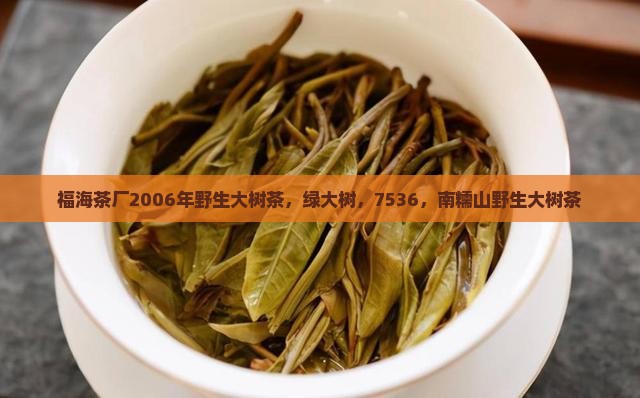 福海茶厂2006年野生大树茶