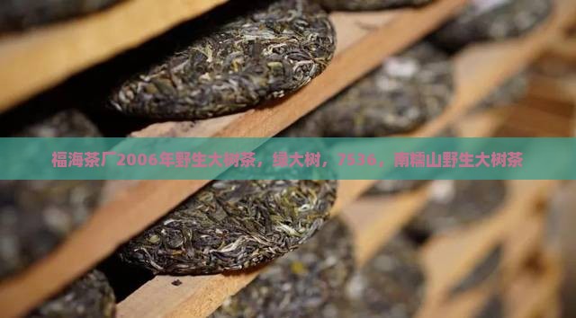 福海茶厂2006年野生大树茶