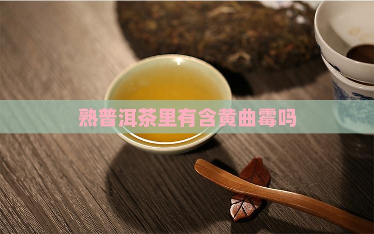 熟普洱茶里有含黄曲霉吗