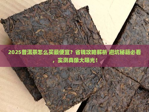 普洱茶怎么买最便宜
